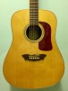 2002 Washburn D200 SWG, Natural SOLD