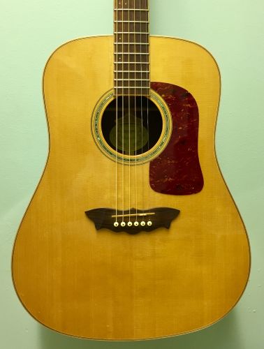 2002 Washburn D200 SWG, Natural SOLD