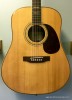 2004 Michael Kelly Legend Rose Electro, Natural SOLD